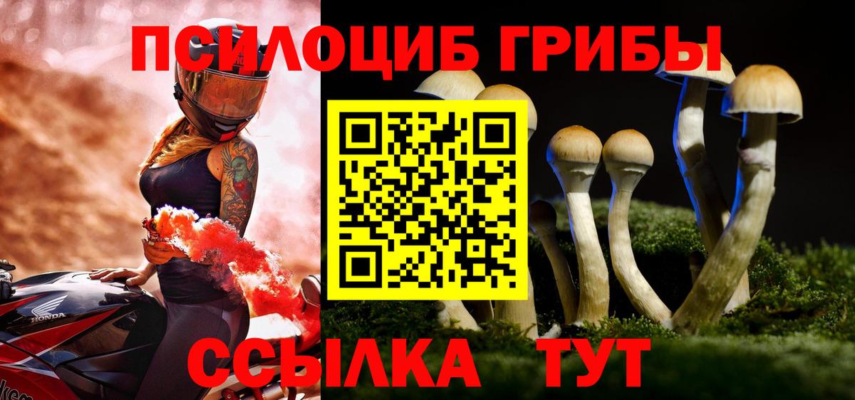 Галлюциногенные грибы прущие грибы  Вход с VPN  Альметьевск 