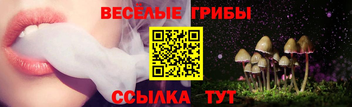 Галлюциногенные грибы мухоморы Альметьевск