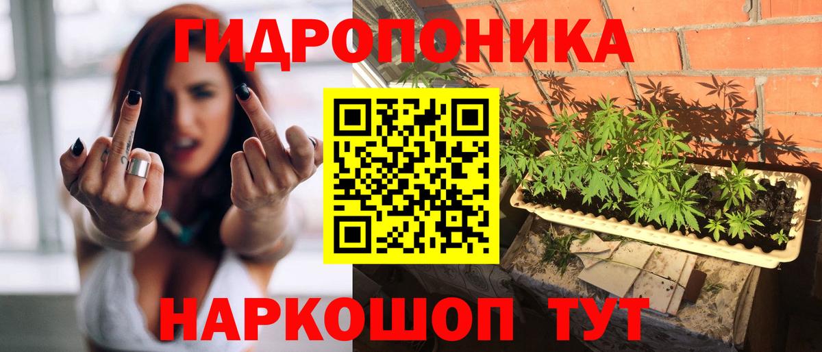 Конопля Amnesia Альметьевск